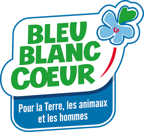 logo bbc
